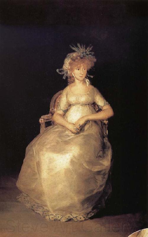 Francisco Goya The Countess of Chinchon Spain oil painting art